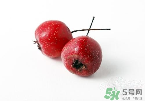 孕婦可以吃山楂嗎？孕婦吃山楂好嗎？