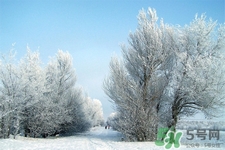 下雪天會(huì)打雷嗎？下雪天為什么會(huì)大雷？