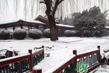 下雪天要打傘嗎？下雪天到底要不要打傘？