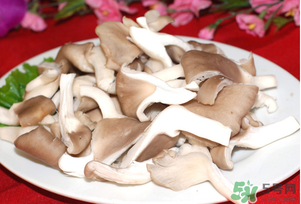 孕婦可以吃平菇嗎？孕婦吃平菇有什么好處？