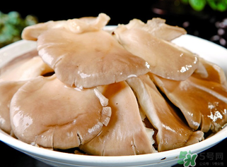 平菇是發(fā)物嗎？平菇是不是發(fā)物？