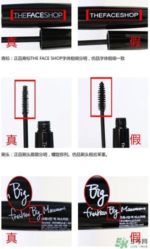 菲詩小鋪大肚子睫毛膏多少錢？菲詩小鋪大肚子睫毛膏專柜價