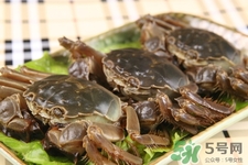 寶寶能吃螃蟹嗎？寶寶可以吃螃蟹肉嗎？