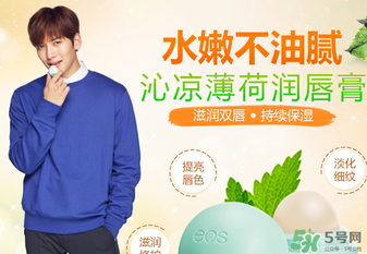 eos潤唇球多少錢？eos唇膏正版價格