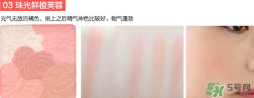 canmake花瓣腮紅珠光還是啞光好？canmake腮紅珠光好看還是啞光？