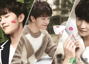 嬌蘭344和325哪個(gè)好看？嬌蘭344和325對(duì)比