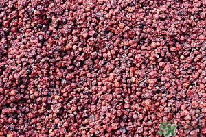 五味子茶韓國(guó)怎么喝？五味子茶的五種味道代表什么？