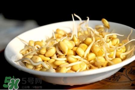 冬天可以發(fā)豆芽嗎？冬天怎樣發(fā)黃豆芽？