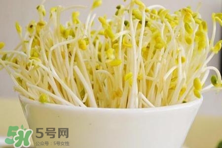 冬天可以發(fā)豆芽嗎？冬天怎樣發(fā)黃豆芽？