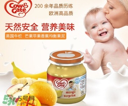 輔食泥哪個牌子好？輔食泥排行榜
