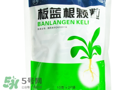 冬天喝板藍(lán)根好嗎？板藍(lán)根的功效與作用