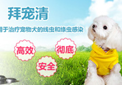 拜寵清要怎么喂？拜寵清驅(qū)蟲藥說明書