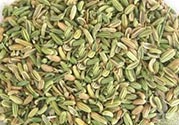 小茴香是孜然嗎？小茴香和孜然的區(qū)別