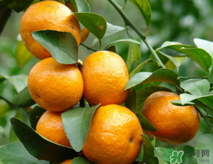 小橘子上火嗎？小橘子吃多了會(huì)上火嗎？