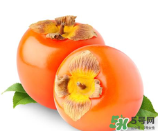 柿子籽能吃嗎？柿子籽的功效與作用