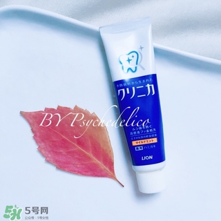 獅王牙膏保質(zhì)期怎么看？獅王牙膏保質(zhì)期是多久？