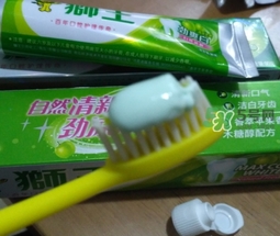 lion獅王是什么牌子？獅王是哪個國家的什么檔次？