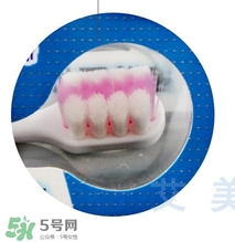 獅王牙刷怎么辨別真假？獅王牙刷真假對比