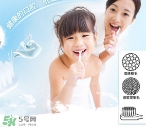 獅王牙刷怎么辨別真假？獅王牙刷真假對比