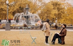 也許星星會(huì)帶走你的悲傷多少錢？也許星星會(huì)帶走你的悲傷價(jià)格