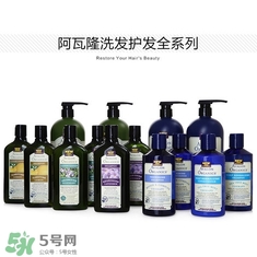 洗發(fā)水什么牌子好？洗發(fā)水2017品牌排行榜