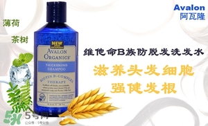 洗發(fā)水什么牌子好？洗發(fā)水2017品牌排行榜