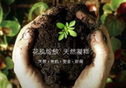 花肌粹護(hù)膚品怎么樣？花肌粹護(hù)膚品含激素嗎？