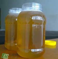 冬蜜好還是春蜜好？冬蜜和春蜜的區(qū)別