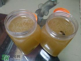 冬蜜多少錢一斤？冬蜜如何辨別真假？