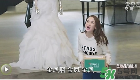 凡茜是什么牌子？凡茜是哪個國家的品牌什么檔次？