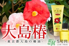 大島椿護(hù)發(fā)精油能涂臉嗎？大島椿發(fā)油的身體護(hù)理用法