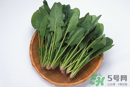 菠菜不能和什么一起吃？菠菜和什么食物相克嗎？
