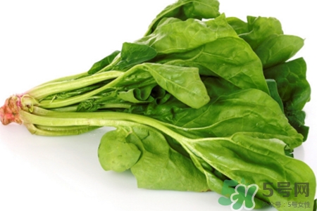 菠菜不能和什么一起吃？菠菜和什么食物相克嗎？