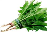 吃菠菜力氣會(huì)變大嗎？多吃菠菜既有力氣又能瘦