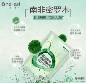 一葉子是哪個(gè)國(guó)家的？一葉子面膜是哪個(gè)國(guó)家的？