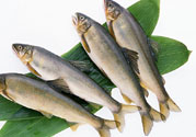 咽喉炎可以吃魚嗎？咽喉炎吃魚有什么好處？