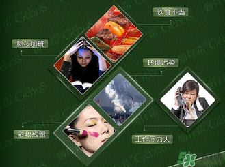 姬存希黃瓜膠多少錢？姬存希黃瓜膠價格