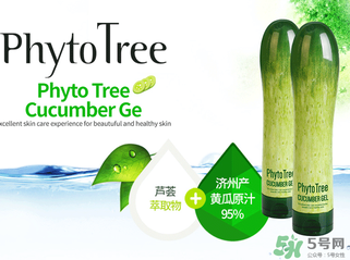 姬存希黃瓜膠多少錢？姬存希黃瓜膠價格