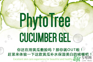 姬存希黃瓜膠多少錢？姬存希黃瓜膠價格