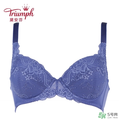 黛安芬內(nèi)衣怎么樣？黛安芬內(nèi)衣價(jià)格圖片