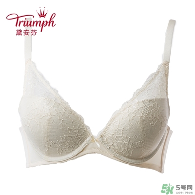 黛安芬內(nèi)衣怎么樣？黛安芬內(nèi)衣價格圖片