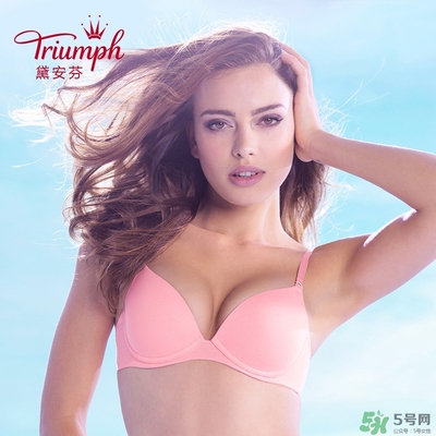 黛安芬內(nèi)衣怎么樣？黛安芬內(nèi)衣價(jià)格圖片