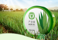 雅麗潔蘆薈膠多少錢？雅麗潔蘆薈膠好不好？