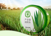 雅麗潔蘆薈膠多少錢？雅麗潔蘆薈膠好不好？