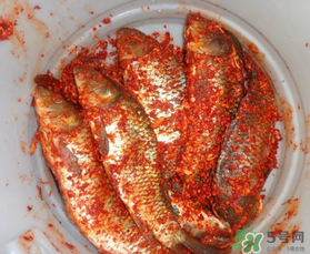 腌魚放多少鹽？腌魚放鹽的比例