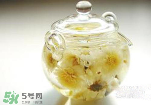 菊花茶什么時(shí)候喝最好？菊花茶什么季節(jié)喝最好？