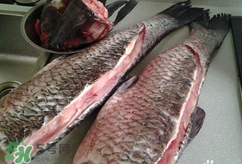 新鮮魚怎么腌制咸魚塊？咸魚塊怎么腌制