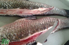 新鮮魚怎么腌制咸魚塊？咸魚塊怎么腌制
