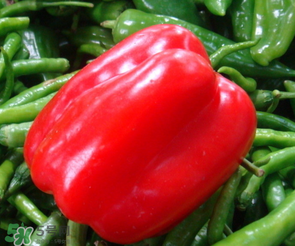 辣椒變紅能吃嗎？辣椒為什么會變紅？
