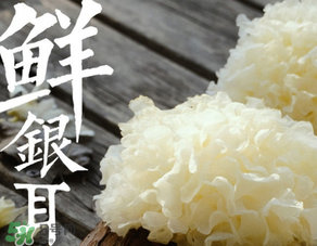新鮮銀耳有毒嗎？新鮮銀耳怎么去毒？